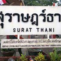 ticket  - Surat Thani